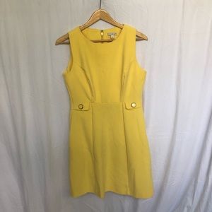 Eva Mendes Sleeveless Dress